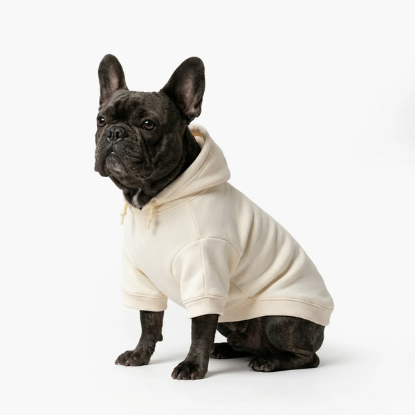 Winter Dog Hoodies - Beige