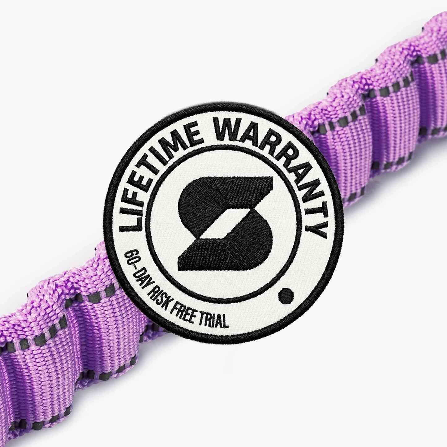Bungee Dog Leash - Purple