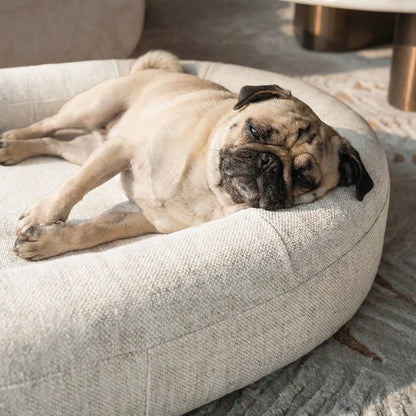 Chill Pill Memory Foam Dog Bed - Beige (Small)