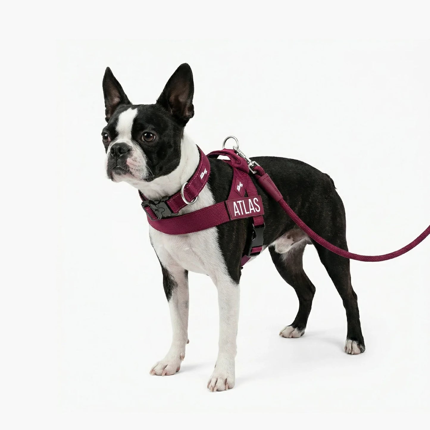 Dog Lovers Pack - Burgundy
