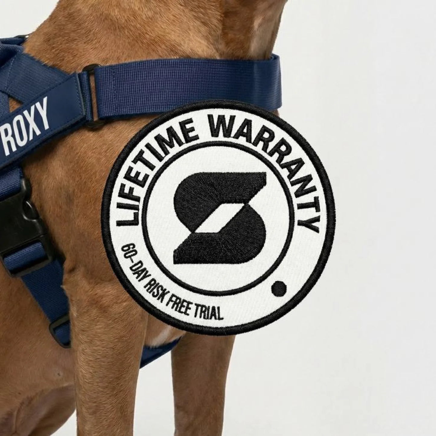 Dog Lovers Pack - Navy Blue