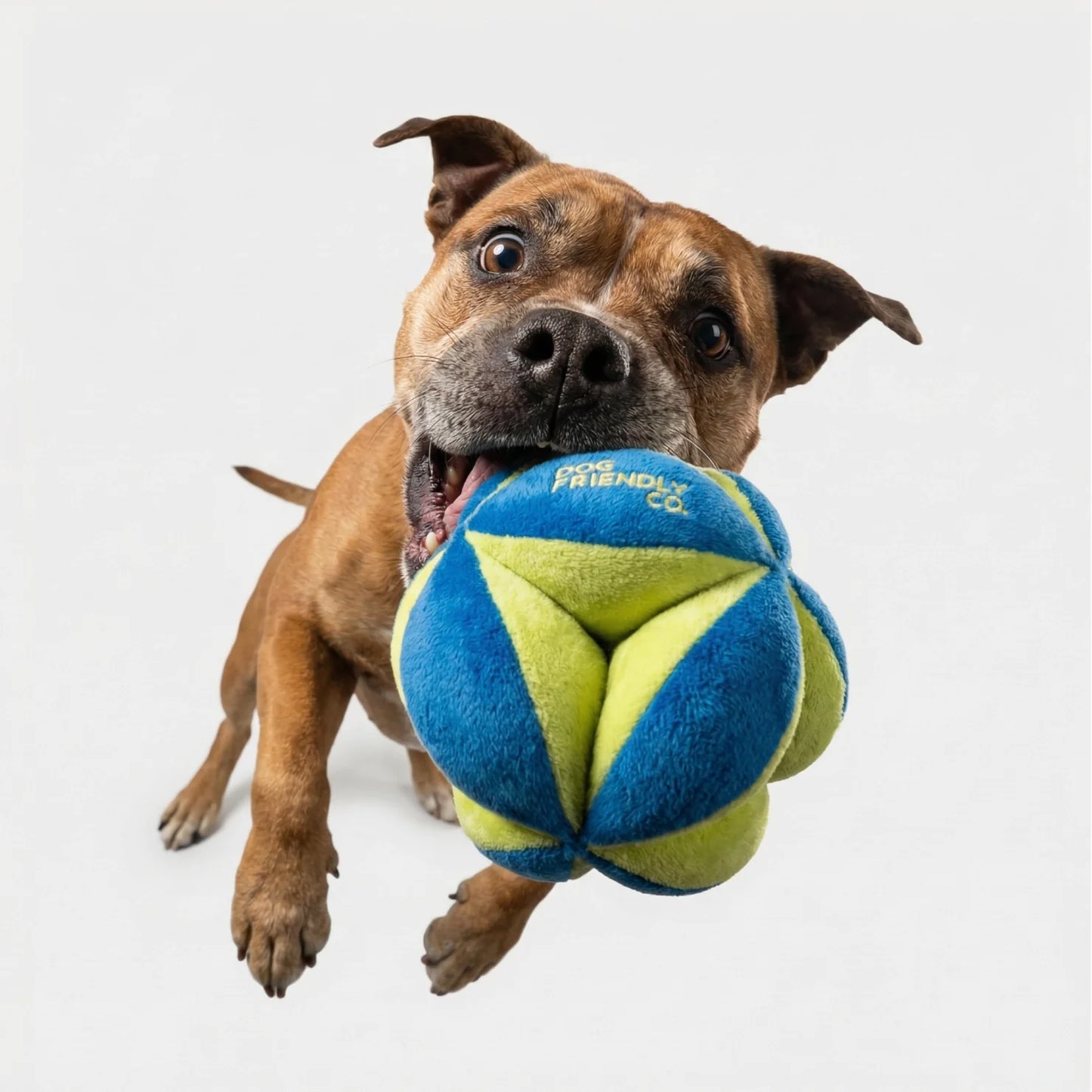 Geo Ball