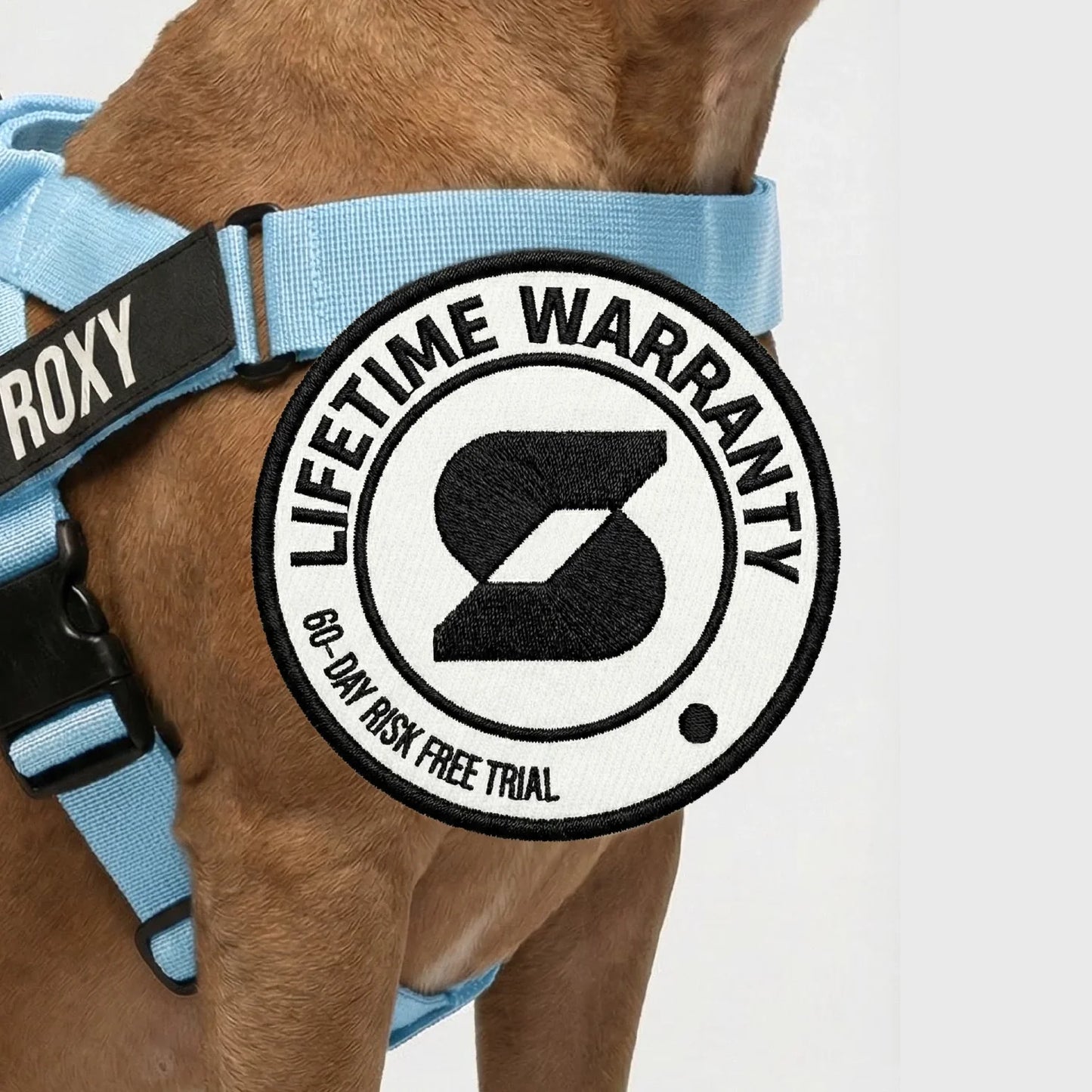 Personalised Dog Harness - Sky Blue