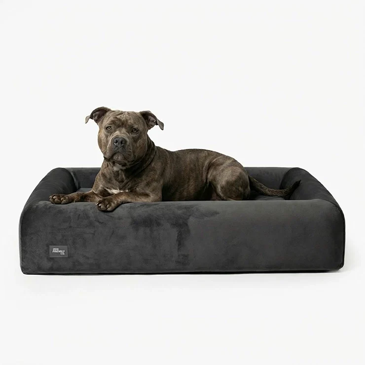 Premium Orthopedic Memory Foam Dog Bed - Charcoal