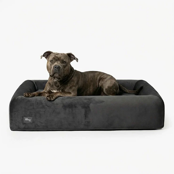 Premium Orthopedic Memory Foam Dog Bed - Charcoal