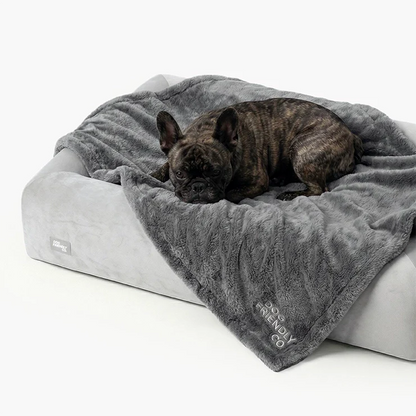 Premium Orthopedic Memory Foam Dog Bed - Grey