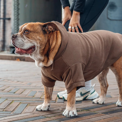 Signature Dog Hoodie - Brown