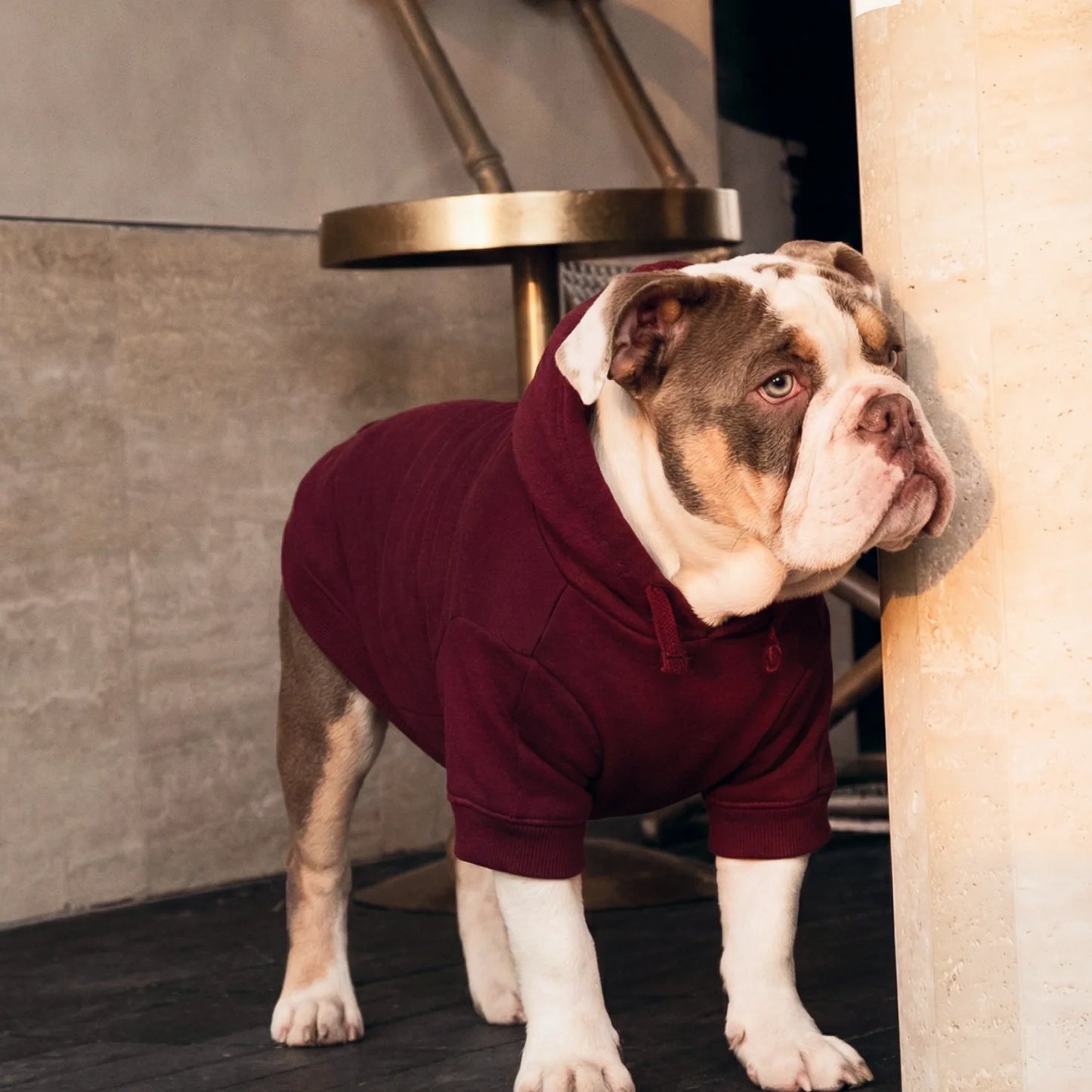 Signature Dog Hoodie - Maroon