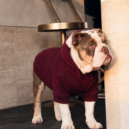 Signature Dog Hoodie - Maroon